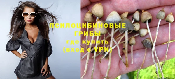 метадон Арсеньев