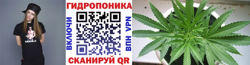 Каннабис OG Kush  Усолье 